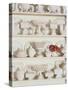 White Pottery on Shelves-Francis Hammond-Stretched Canvas