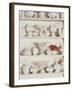 White Pottery on Shelves-Francis Hammond-Framed Photographic Print