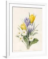 White Primroses and Early Hybrid Crocuses, 1830-Louise D'Orleans-Framed Giclee Print