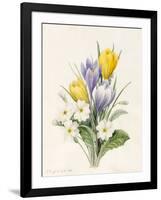 White Primroses and Early Hybrid Crocuses, 1830-Louise D'Orleans-Framed Giclee Print