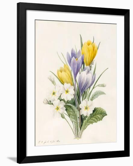 White Primroses and Early Hybrid Crocuses, 1830-Louise D'Orleans-Framed Giclee Print