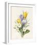 White Primroses and Early Hybrid Crocuses, 1830-Louise D'Orleans-Framed Giclee Print