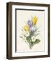 White Primroses and Early Hybrid Crocuses, 1830-Louise D'Orleans-Framed Giclee Print