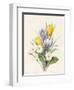 White Primroses and Early Hybrid Crocuses, 1830-Louise D'Orleans-Framed Giclee Print