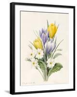 White Primroses and Early Hybrid Crocuses, 1830-Louise D'Orleans-Framed Giclee Print