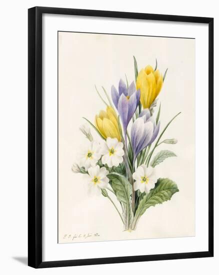 White Primroses and Early Hybrid Crocuses, 1830-Louise D'Orleans-Framed Giclee Print