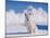 White Puppy in Snow-null-Mounted Photographic Print