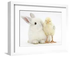 White Rabbit and Yellow Bantam Chick-Mark Taylor-Framed Photographic Print