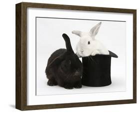 White Rabbit in a Black Top Hat with Black Rabbit-Mark Taylor-Framed Photographic Print