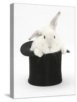White Rabbit in a Black Top Hat-Mark Taylor-Stretched Canvas