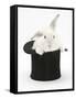 White Rabbit in a Black Top Hat-Mark Taylor-Framed Stretched Canvas