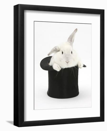 White Rabbit in a Black Top Hat-Mark Taylor-Framed Premium Photographic Print