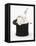 White Rabbit in a Black Top Hat-Mark Taylor-Framed Stretched Canvas