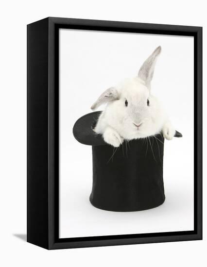 White Rabbit in a Black Top Hat-Mark Taylor-Framed Stretched Canvas