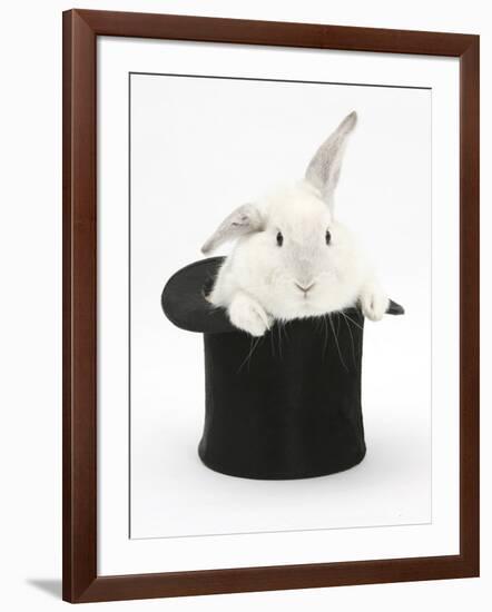 White Rabbit in a Black Top Hat-Mark Taylor-Framed Photographic Print