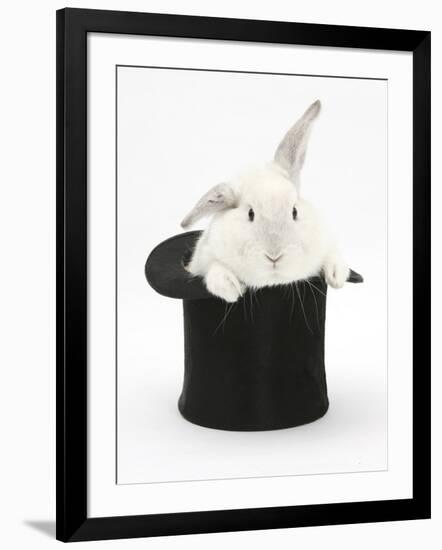 White Rabbit in a Black Top Hat-Mark Taylor-Framed Photographic Print