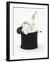 White Rabbit in a Black Top Hat-Mark Taylor-Framed Photographic Print