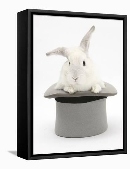 White Rabbit in a Grey Top Hat-Mark Taylor-Framed Stretched Canvas