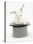 White Rabbit in a Grey Top Hat-Mark Taylor-Stretched Canvas