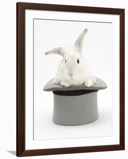 White Rabbit in a Grey Top Hat-Mark Taylor-Framed Photographic Print