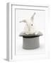 White Rabbit in a Grey Top Hat-Mark Taylor-Framed Photographic Print