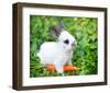 White Rabbit With a Carrot-null-Framed Art Print