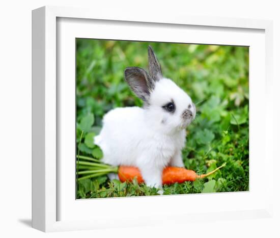 White Rabbit With a Carrot-null-Framed Art Print