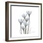 White Rain Lily 3-Albert Koetsier-Framed Premium Giclee Print