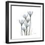 White Rain Lily 3-Albert Koetsier-Framed Premium Giclee Print