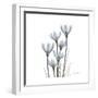 White Rain Lily 3-Albert Koetsier-Framed Premium Giclee Print