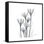 White Rain Lily 3-Albert Koetsier-Framed Stretched Canvas