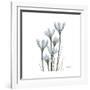 White Rain Lily 3-Albert Koetsier-Framed Premium Giclee Print