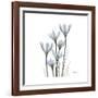 White Rain Lily 3-Albert Koetsier-Framed Premium Giclee Print