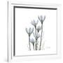 White Rain Lily 3-Albert Koetsier-Framed Premium Giclee Print