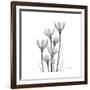 White Rain Lily 3-Albert Koetsier-Framed Premium Giclee Print