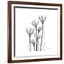 White Rain Lily 3-Albert Koetsier-Framed Premium Giclee Print