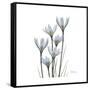 White Rain Lily 3-Albert Koetsier-Framed Stretched Canvas