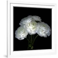 White Ranunculus Bouquet-Magda Indigo-Framed Photographic Print