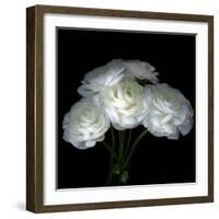 White Ranunculus Bouquet-Magda Indigo-Framed Photographic Print