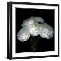 White Ranunculus Bouquet-Magda Indigo-Framed Photographic Print