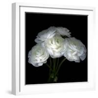 White Ranunculus Bouquet-Magda Indigo-Framed Photographic Print
