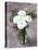 White Ranunculus Flowers in Vase Grey Background-Anna Pustynnikova-Stretched Canvas