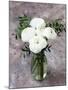 White Ranunculus Flowers in Vase Grey Background-Anna Pustynnikova-Mounted Photographic Print