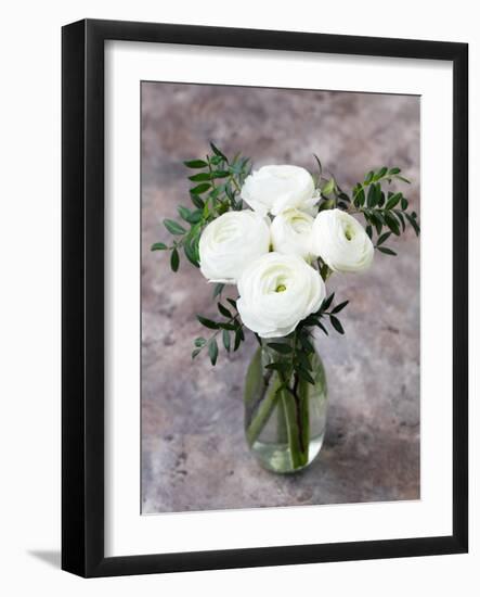 White Ranunculus Flowers in Vase Grey Background-Anna Pustynnikova-Framed Photographic Print