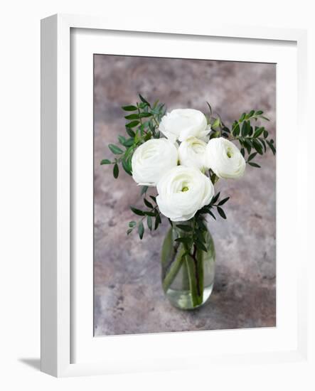 White Ranunculus Flowers in Vase Grey Background-Anna Pustynnikova-Framed Photographic Print