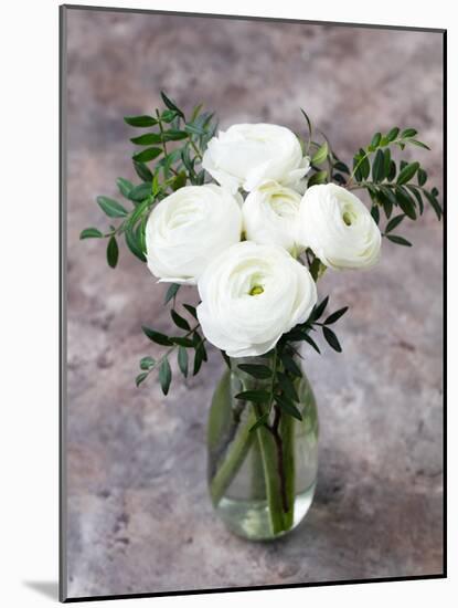 White Ranunculus Flowers in Vase Grey Background-Anna Pustynnikova-Mounted Photographic Print