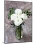 White Ranunculus Flowers in Vase Grey Background-Anna Pustynnikova-Mounted Photographic Print