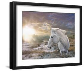 White Reflection-Steve Hunziker-Framed Art Print