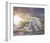 White Reflection-Steve Hunziker-Framed Art Print