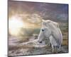 White Reflection-Steve Hunziker-Mounted Art Print